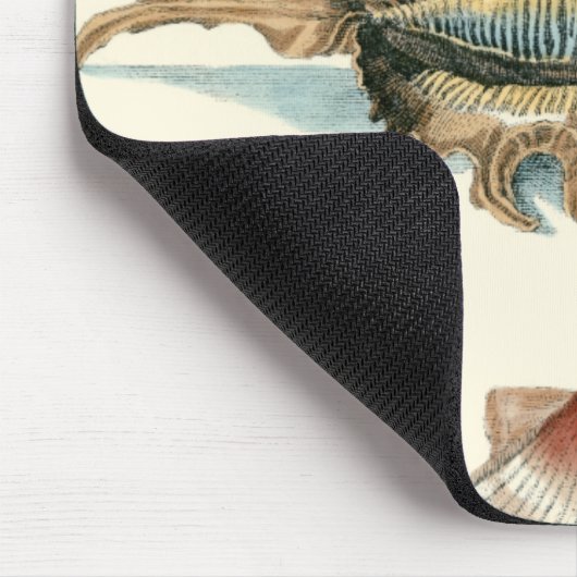 Extravaganter Strand der Muschel Mousepad (Ecke)