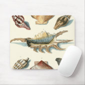 Extravaganter Strand der Muschel Mousepad (Mit Mouse)