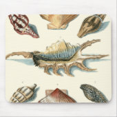 Extravaganter Strand der Muschel Mousepad (Vorne)