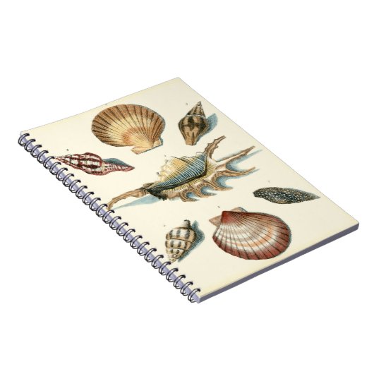 Extravaganter Strand der Muschel Notizblock (Rechte Seite)