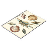 Extravaganter Strand der Muschel Notizblock (Linke Seite)