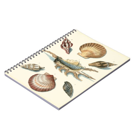 Extravaganter Strand der Muschel Notizblock (Linke Seite)