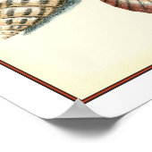 Extravaganter Strand der Muschel Poster (Ecke)