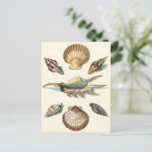 Extravaganter Strand der Muschel Postkarte (Stehend Vorderseite)