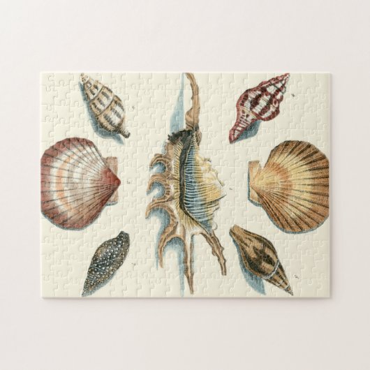 Extravaganter Strand der Muschel Puzzle (Horizontal)