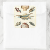 Extravaganter Strand der Muschel Quadratischer Aufkleber (Tasche)