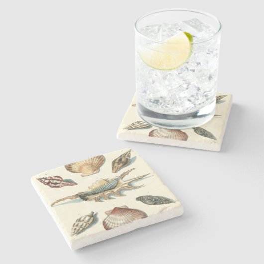 Extravaganter Strand der Muschel Steinuntersetzer (Seitenansicht)