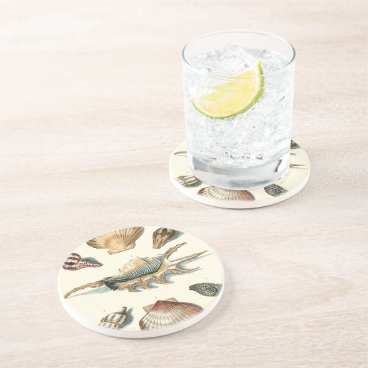 Extravaganter Strand der Muschel Untersetzer (Seite)