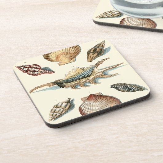 Extravaganter Strand der Muschel Untersetzer (Linke Seite)