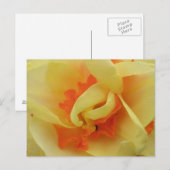 Extravagantes Arzneimittel Postkarte (Vorne/Hinten)