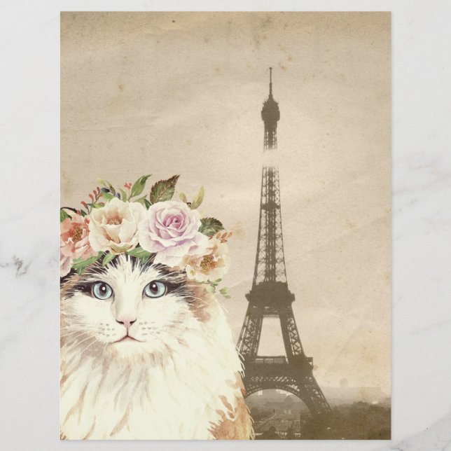 Extravagantes Cat & Eiffel Tower Scrapbook (Vorderseite)