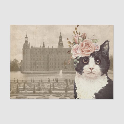 Extravagantes Cat & The Castle Seidenpapier (Vorderseite)