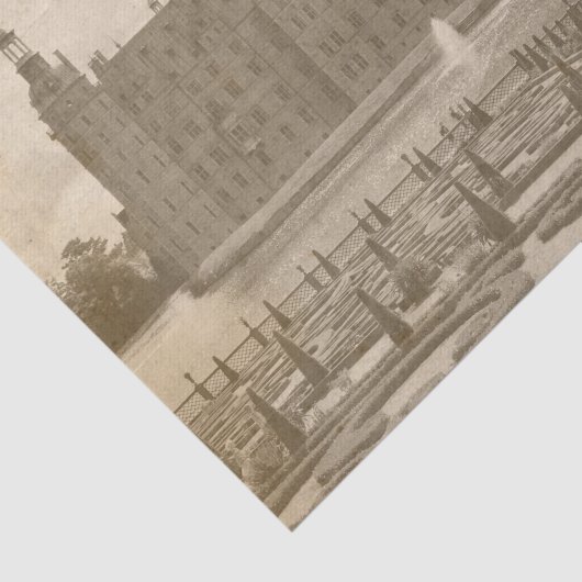 Extravagantes Cat & The Castle Seidenpapier (Ausschnitt)