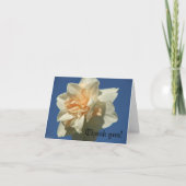 Extravagantes Daffodil Dankeskarte (Vorderseite)
