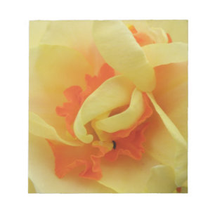 Extravagantes Daffodil Editor Notizblock
