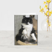 Extravagantes FireFect Feline Cat Foto entwickelt Karte (Gelbe Blume)