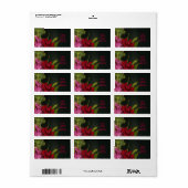 Extravagantes Formblatt Adressaufkleber (Vorne)