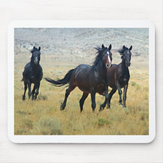 Extravagantes freies mousepad (Vorne)