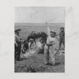 Extravagantes Roping Postkarte