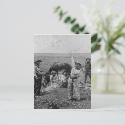 Extravagantes Roping Postkarte (Stehend Vorderseite)
