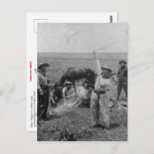 Extravagantes Roping Postkarte (Vorne/Hinten)