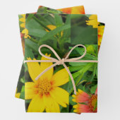 Extravagantes Set für Flurbandpapier mit einem Flä Geschenkpapier Set (Beispiel)