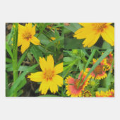 Extravagantes Set für Flurbandpapier mit einem Flä Geschenkpapier Set (Vorderseite)