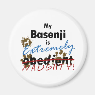 Extrem freches Basenji Magnet