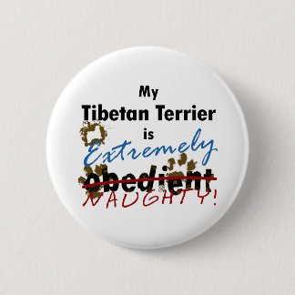 Extrem freches tibetanisches Terrier Button
