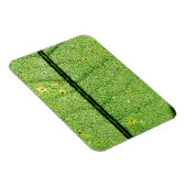 Extrem grünes Leaf Magnet (Rechte Seite)