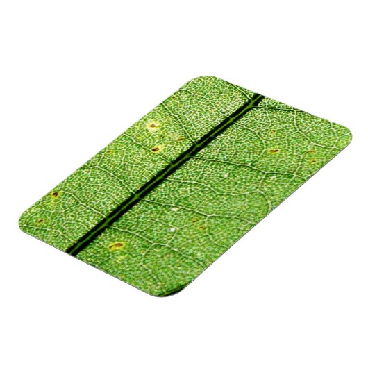 Extrem grünes Leaf Magnet (Linke Seite)