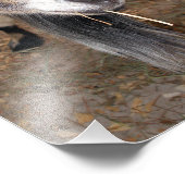 Extrem Nah auf einer Billy Goat Eating Hay Fotodruck (Ecke)