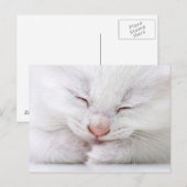 Extrem nah, sehr jung postkarte (Vorne/Hinten)