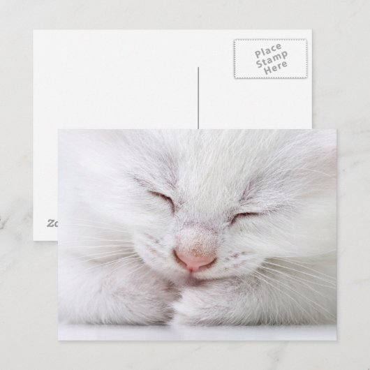 Extrem nah, sehr jung postkarte (Vorne/Hinten)