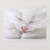 Extrem nah, sehr jung postkarte (Vorderseite)