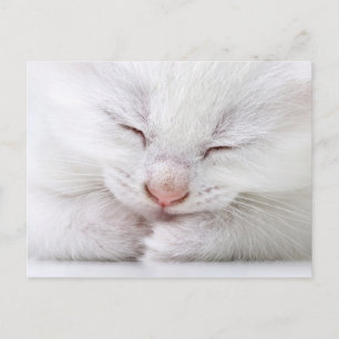 Extrem nah, sehr jung postkarte