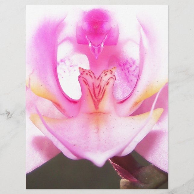 extrem nahe Innenseite einer orchid-Blume (Vorderseite)