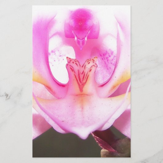 extrem nahe Innenseite einer orchid-Blume Briefpapier (Vorderseite)