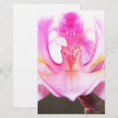 extrem nahe Innenseite einer orchid-Blume Briefpapier (Vorne/Hinten)