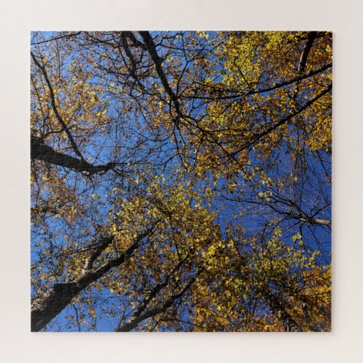 Extrem schwierige Naturschutzpuzzles für Erwachsen Puzzle (Horizontal)