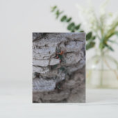 Extreme Climber Postkarte (Stehend Vorderseite)