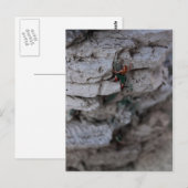 Extreme Climber Postkarte (Vorne/Hinten)