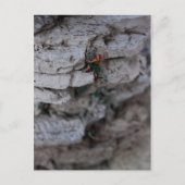 Extreme Climber Postkarte (Vorderseite)