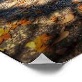 Extreme Custom Poster (Ecke)