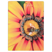 Extreme Nah-up einer Biene, die Pollen sammelt Klemmbrett (Rückseite)