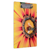 Extreme Nah-up einer Biene, die Pollen sammelt Klemmbrett (Rechts)