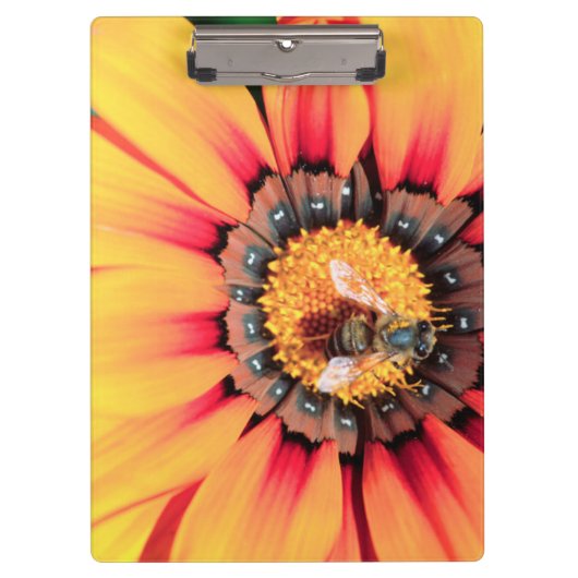 Extreme Nah-up einer Biene, die Pollen sammelt Klemmbrett (Vorderseite)