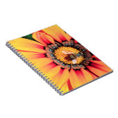 Extreme Nah-up einer Biene, die Pollen sammelt Notizblock (Rechte Seite)