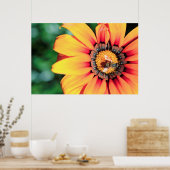 Extreme Nah-up einer Biene, die Pollen sammelt Poster (Küche)