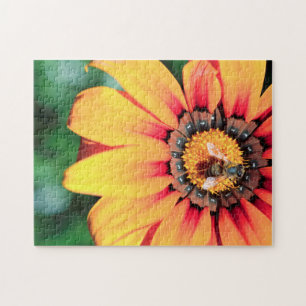 Extreme Nah-up einer Biene, die Pollen sammelt Puzzle